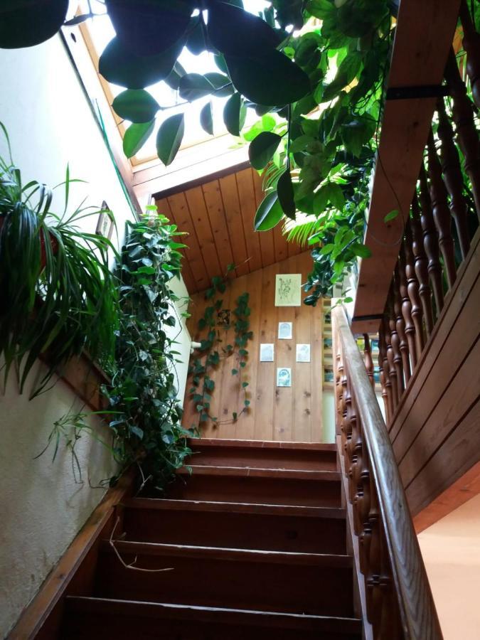 مبيت وإفطار اوبيردراوبورغ Koestlhof, Familie Hassler المظهر الخارجي الصورة